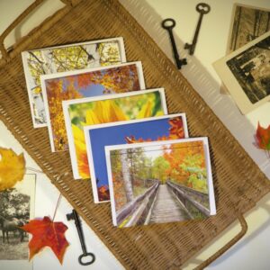 Fall Beauty Notecards Set